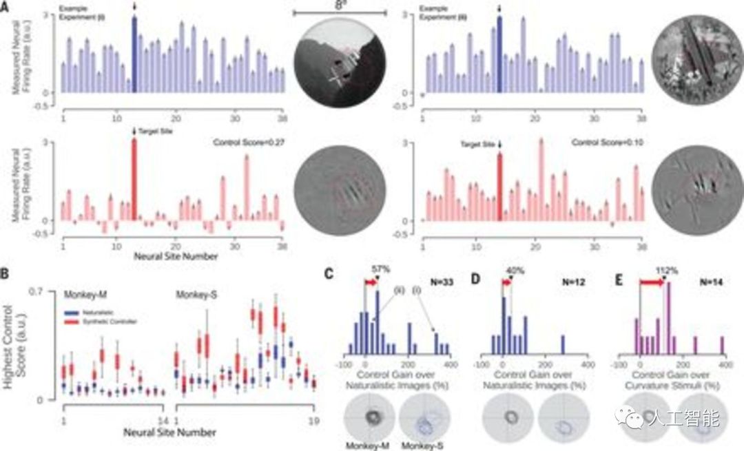  昂热引入AI伤病监测系统，科学管理球员健康  